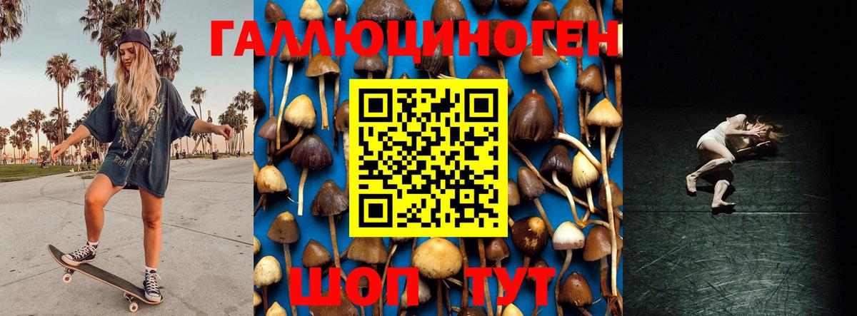 Псилоцибиновые грибы Cubensis Псков
