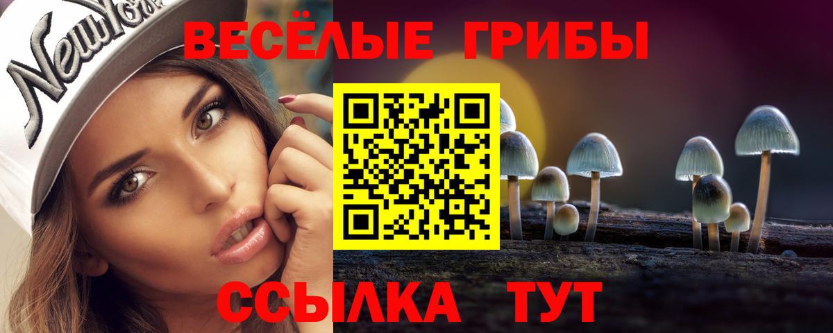 Псков  Псилоцибиновые грибы Psilocybe  Вход с VPN  Псилоцибиновые грибы мицелий 
